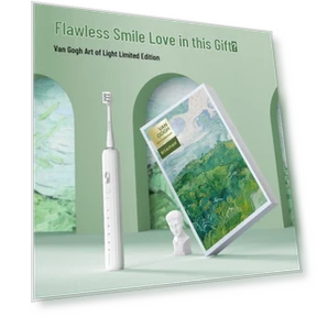 Smart Sonic Electric Toothbrush — Electric Toothbrush Heads, ROAMAN