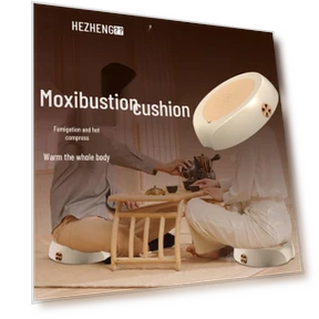 Ai Moxibustion Heating Seat Cushion — Thermal Comfort Solutions, Hezheng