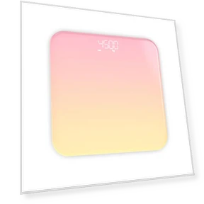 Digital Body Weight Scale — Weight Management Tools, ZengJie