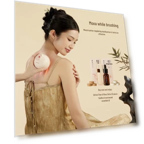 Ginger Bamboo A3 Smart Portable Moxibustion Device — Thermal Therapy Solutions, Breo