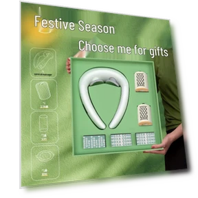 Health Gift Set — Back Relief Solutions, Hezheng