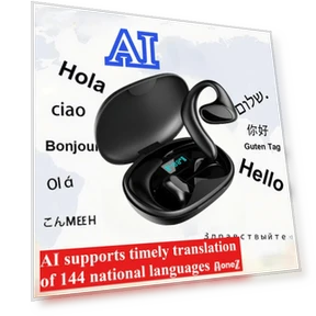 Language Translation Earplug — Language Translators, Aura Living