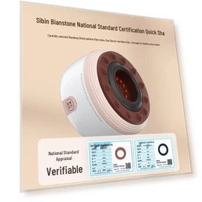 Mini Bread Electric Bianstone Cupping Massager — Back Relief Solutions, Ke ai