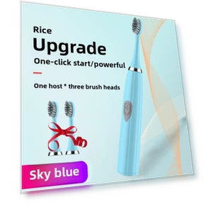 Portable Electric Toothbrush — Chargers, Binchi Health Technology