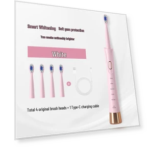 Rechargeable Smart Sonic Electric Toothbrush — Sonic Electric Toothbrushes, OKTOOTH