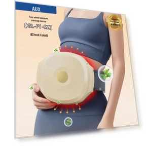 Smart Abdominal Massager with Heating — Back Relief Solutions, AUX