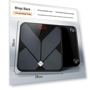 Smart Bluetooth Body Fat and Weight Scale — Weight Management Tools, Meilen