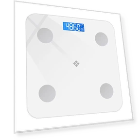 Smart Bluetooth Body Fat Scale — Weight Management Tools, JDST online