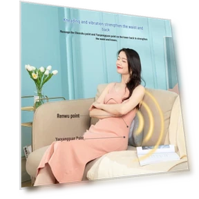 Smart Multi-functional Massager Cushion — Cushions, Jiancheng