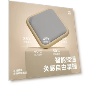 Smart Smokeless Moxibustion and Heat Therapy Device — Hot & Cold Therapies, Zuodian