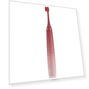 Smart Sonic Electric Toothbrush — Sonic Electric Toothbrushes, ROAMAN