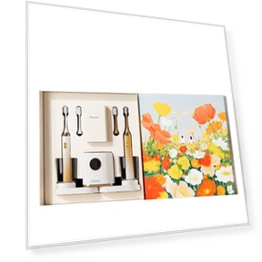 Smart Sonic Electric Toothbrush — Electric Toothbrush Heads, Ebonee