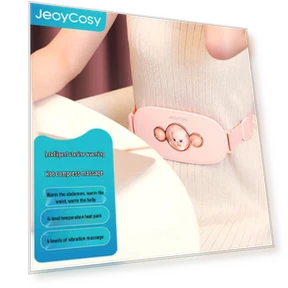 Smart Warm Palace Massager — Back Relief Solutions, Jiancheng