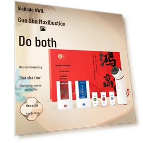 Bianstone Moxibustion Device — Thermal Comfort Solutions, Ai Xiu Tang