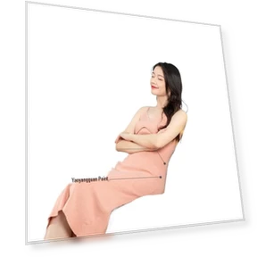 Full Body Kneading Massage Cushion — Back Relief Solutions, JDST online