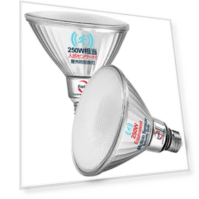 LED High Beam Bulbs with Motion and Light Sensors — Outdoor Security & Flood Lighting, Explux
