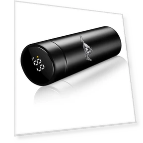 Portable Car Smart Thermos Bottle with Temperature Display — Beverage Warmers, Ford