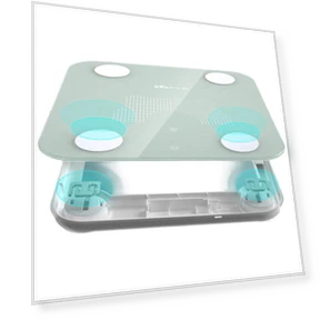 Smart Bluetooth Body Fat Scale — Weight Management Tools, Little Bear