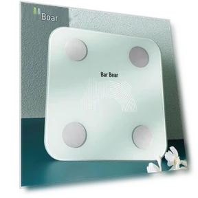 Smart Body Fat Scale — Weight Management Tools, Morphy