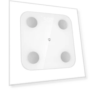 Smart Body Fat Scale — Weight Management Tools, Zixiu