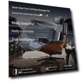 Smart Full Body Massage Cushion — Massage Equipment, CLORIS