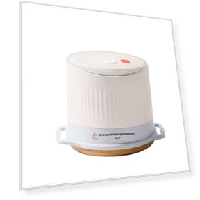 Smart Portable Moxibustion Device — Thermal Comfort Solutions, Morphy Richards