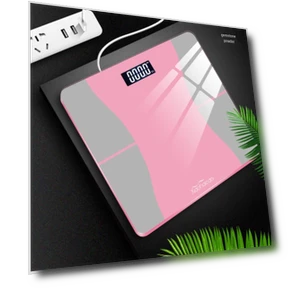 Smart USB Body Fat Scale — Weight Management Tools, Jinmiao