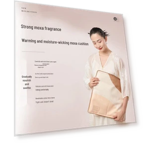 Wormwood Wellness Cushion — Alternative Medicine, Ai Xiu Tang