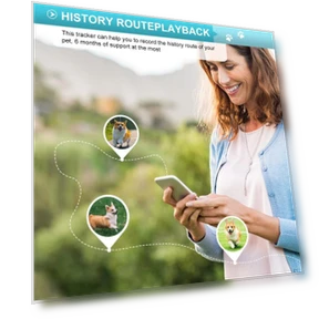 Dog Collar GPS Locator — Item Locators