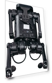 Four-Legged Bionic Robot — Security & Surveillance Robots, Unitree