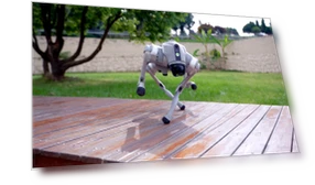Quadruped Robot — Security & Surveillance Robots, Unitree