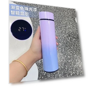 Smart Thermos with LED Temperature Display — Thermoses, Binchi Fitness