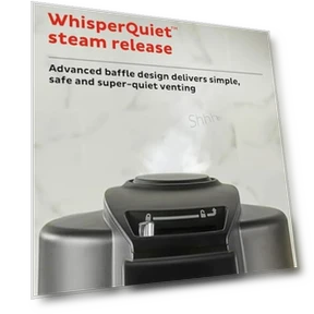 6.5 Quart Air Fryer & Pressure Cooker Combo with Wi-Fi — Electric Pressure Cookers, Instant Pot