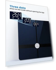 Wi-Fi Scale for Body Weight — Body Composition Analysis, FITINDEX