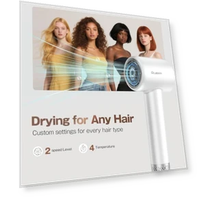 High-Speed Ionic Low Noise Blow Dryer with Brushless Motor — Dryers & Accessories, Labiim
