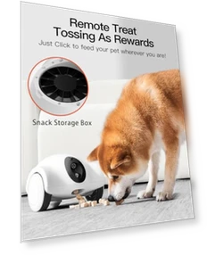 Pet Camera with Phone App — Cameras & Monitors, GULIGULI