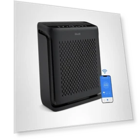 Air Purifier for Home Large Room — Activated Carbon Air Purifiers, LEVOIT