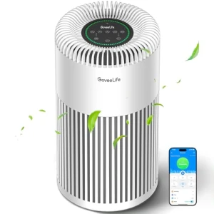 Smart Air Purifier for Large Rooms — Air Purifier, GoveeLife