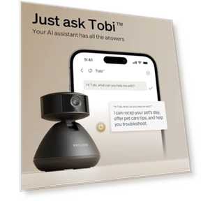 AI Pet Camera Indoor with Phone App — Cameras & Monitors, PETLIBRO