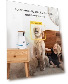 Dog Camera with Treat Dispenser — Cameras & Monitors, Furbo