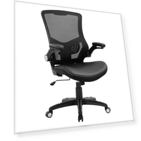 Ergonomic Desk Chair with Adjustable Lumbar Support and Flip-up Arms — Desk Chairs, X XISHE