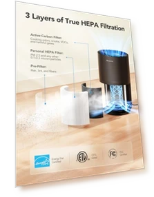 Mini Air Purifier for Bedroom — Activated Carbon Air Purifiers, GoveeLife