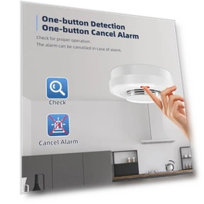 Smart Smoke Detector Fire Alarm — Smoke & CO Detectors, Gaoducash