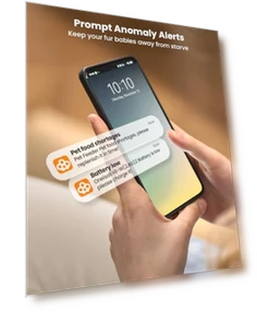 Cordless WiFi Automatic Cat Feeder for 2 Cats — Smart Pet Feeders, oneisall