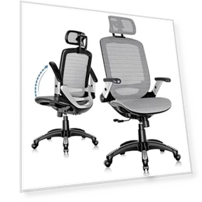 Ergonomic Office Chair with Headrest, Flip-Up Arms, Tilt Lock, and Wide Cushion — Desk Chairs, GABRYLLY