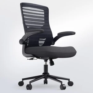Office Desk Chair for Long Hours & Lower Back Pain Relief — Smart Chairs, QLTPLUS