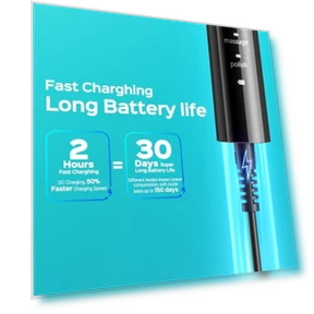 Sonic Electric Toothbrush — Sonic Electric Toothbrushes, COSLUS