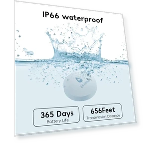 WiFi Water Leak Detector with Adjustable Alarm and Notifications — Water Leak Detection Systems, Winees