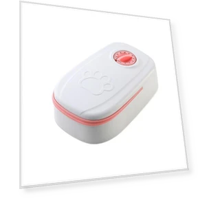 Automatic Pet Feeder — Feeding Supplies, Ruishengtong