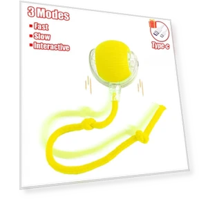 Interactive Rolling Ball Toy — Balls, Pet World Home